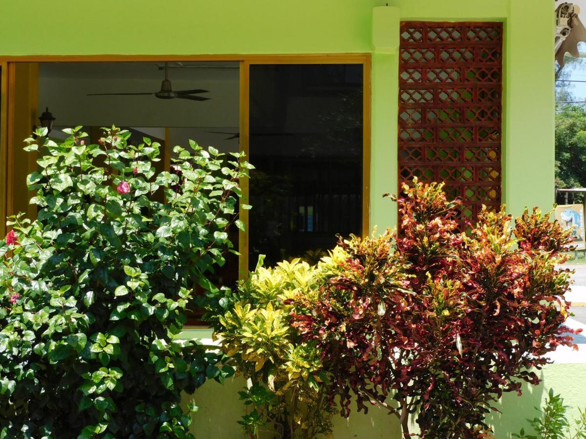 Casa de Huéspedes Yoli By Rotamundos Playa Chachalacas Extérieur photo
